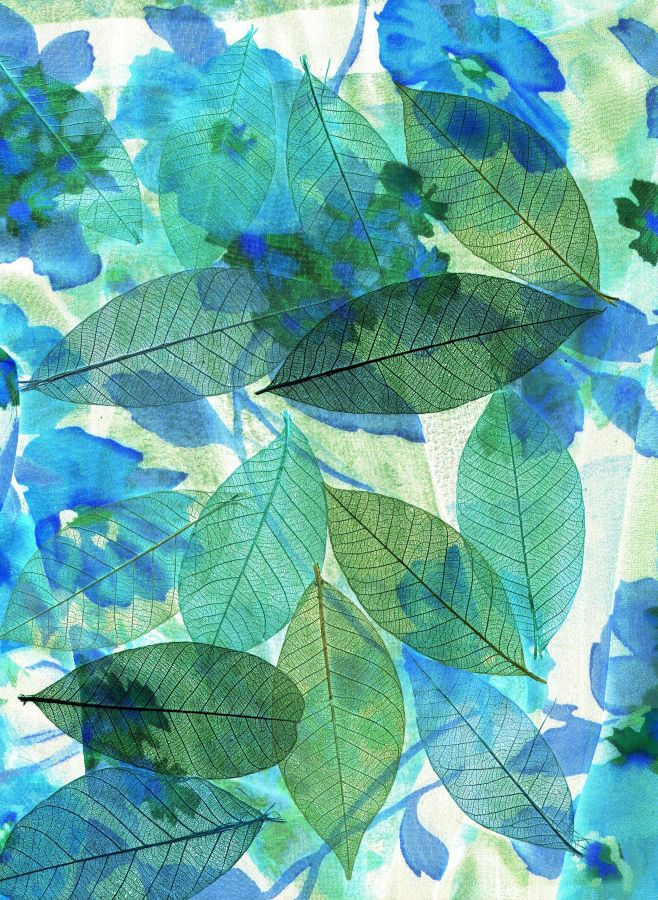 leaves arranged as art in counselling